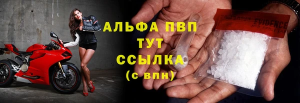 PSILOCYBIN Новозыбков