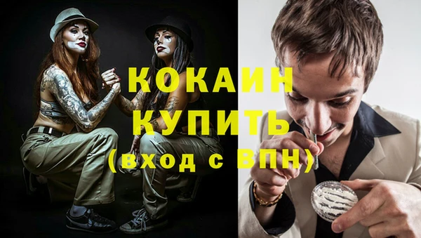 соль ск Абаза