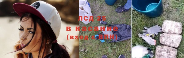ПСИЛОЦИБИНОВЫЕ ГРИБЫ Новокубанск