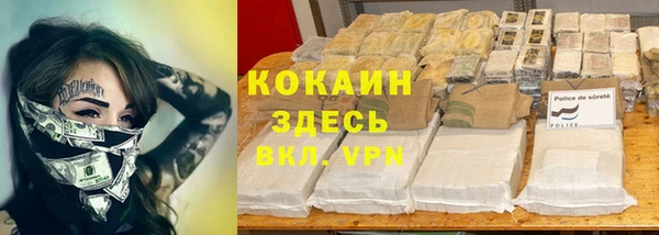 PSILOCYBIN Новозыбков