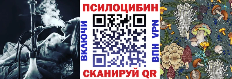 hydra сайт  Шиханы  Галлюциногенные грибы Psilocybe  закладки 